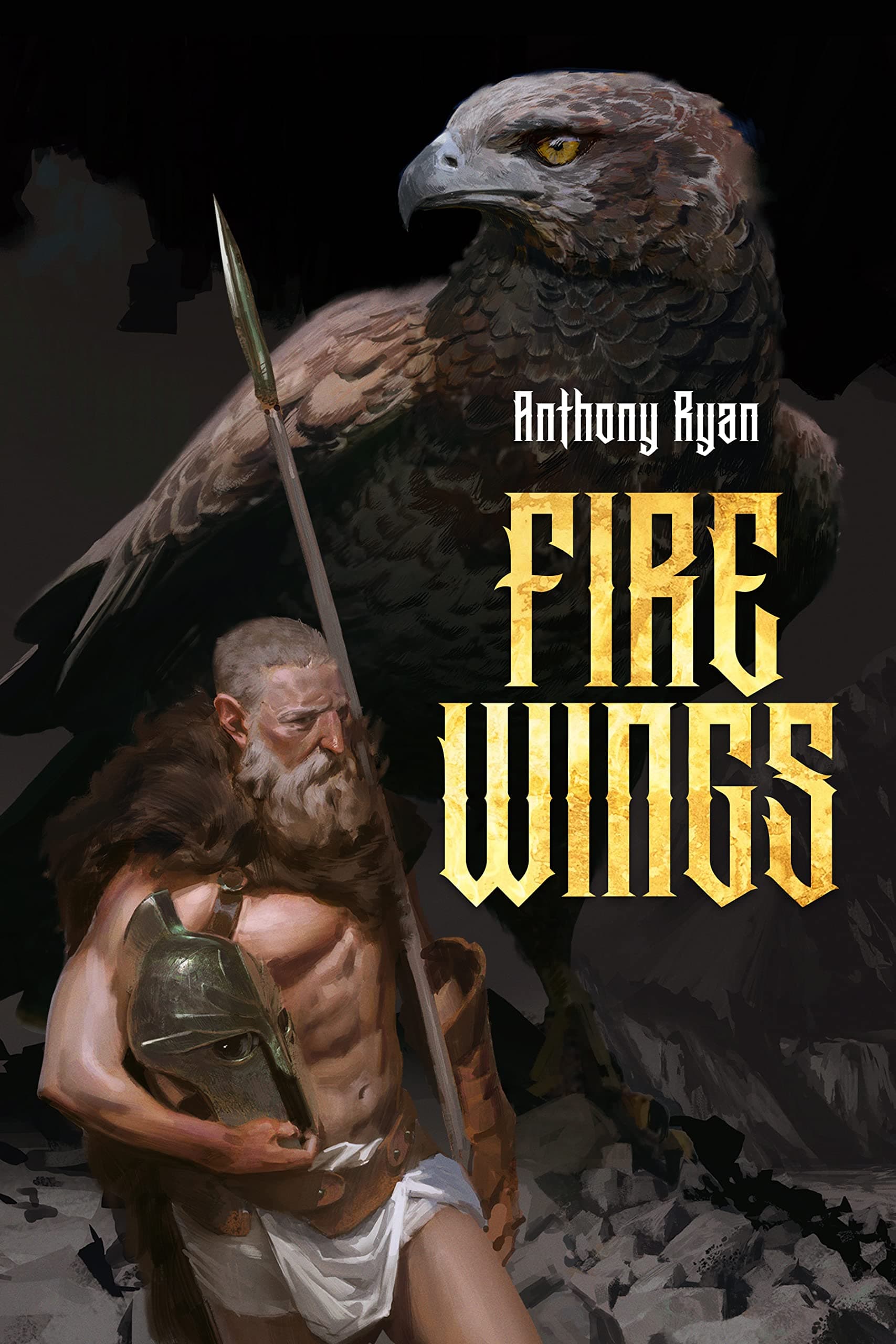 Fire Wings book cover