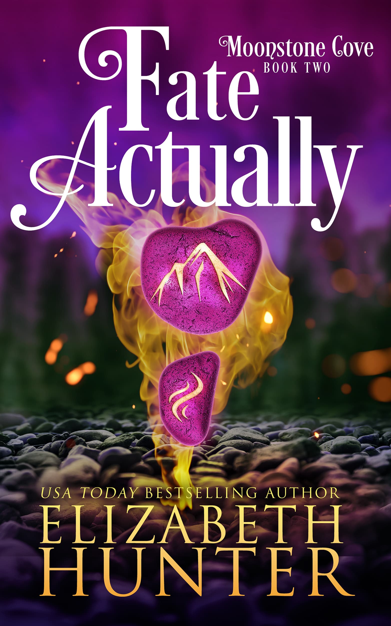 Fate Actually book cover