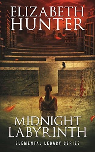 Midnight Labyrinth book cover