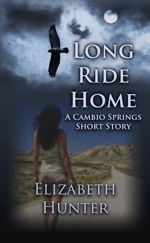 Long Ride Home book cover