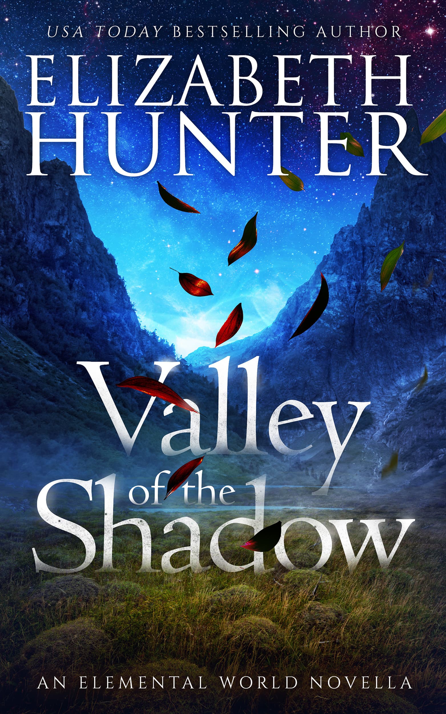 Valley of the Shadow book cover