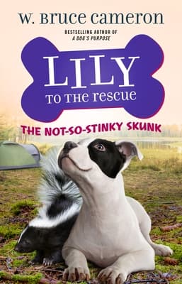 The Not-So-Stinky Skunk book cover