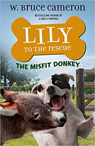 The Misfit Donkey book cover