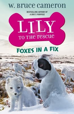 Lily to the Rescue: Foxes in a Fix book cover