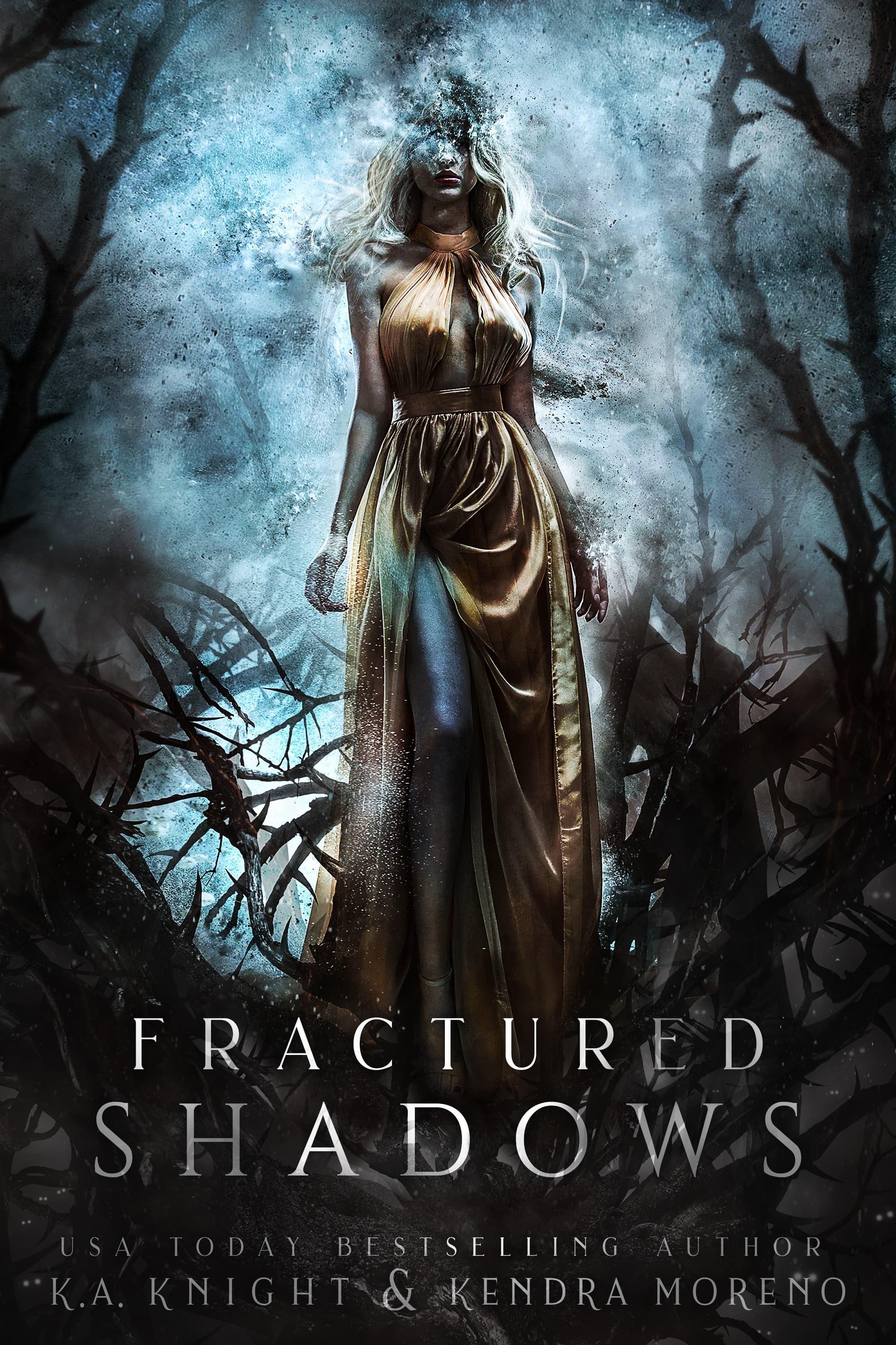 Fractured Shadows book cover
