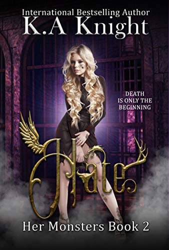Hate book cover