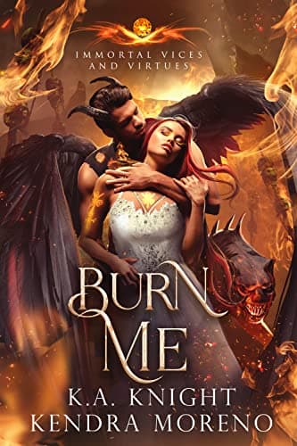 Burn Me book cover