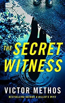 The Secret Witness book cover