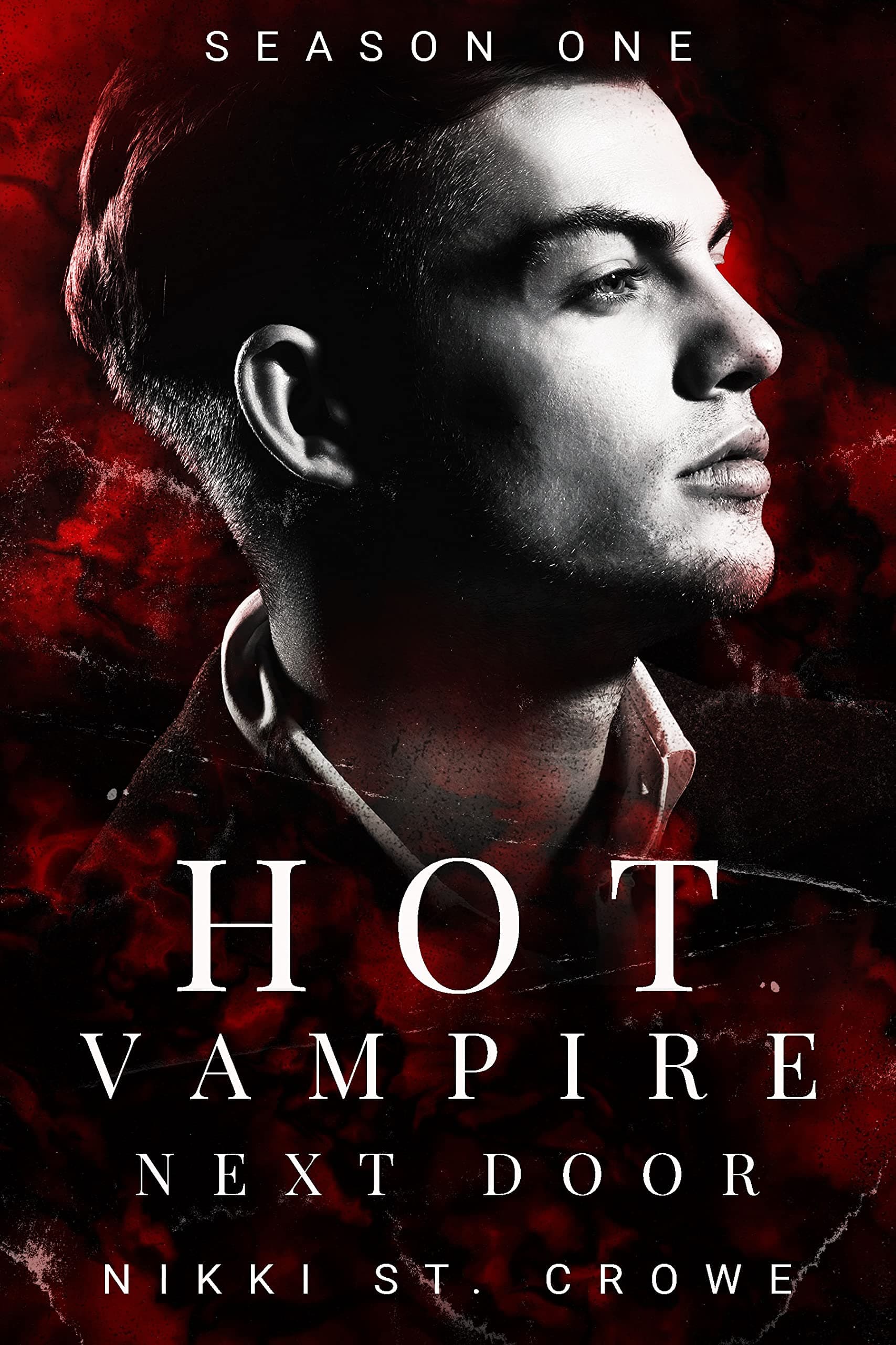Hot Vampire Next Door: Season One book cover