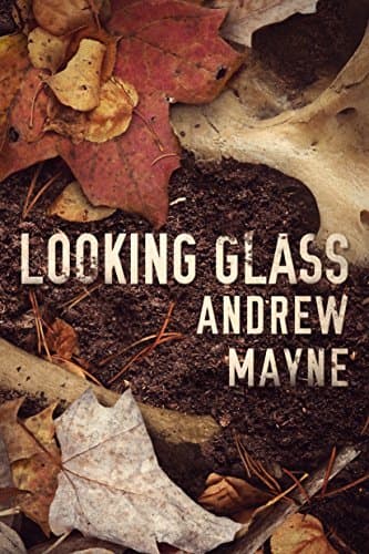 Looking Glass book cover