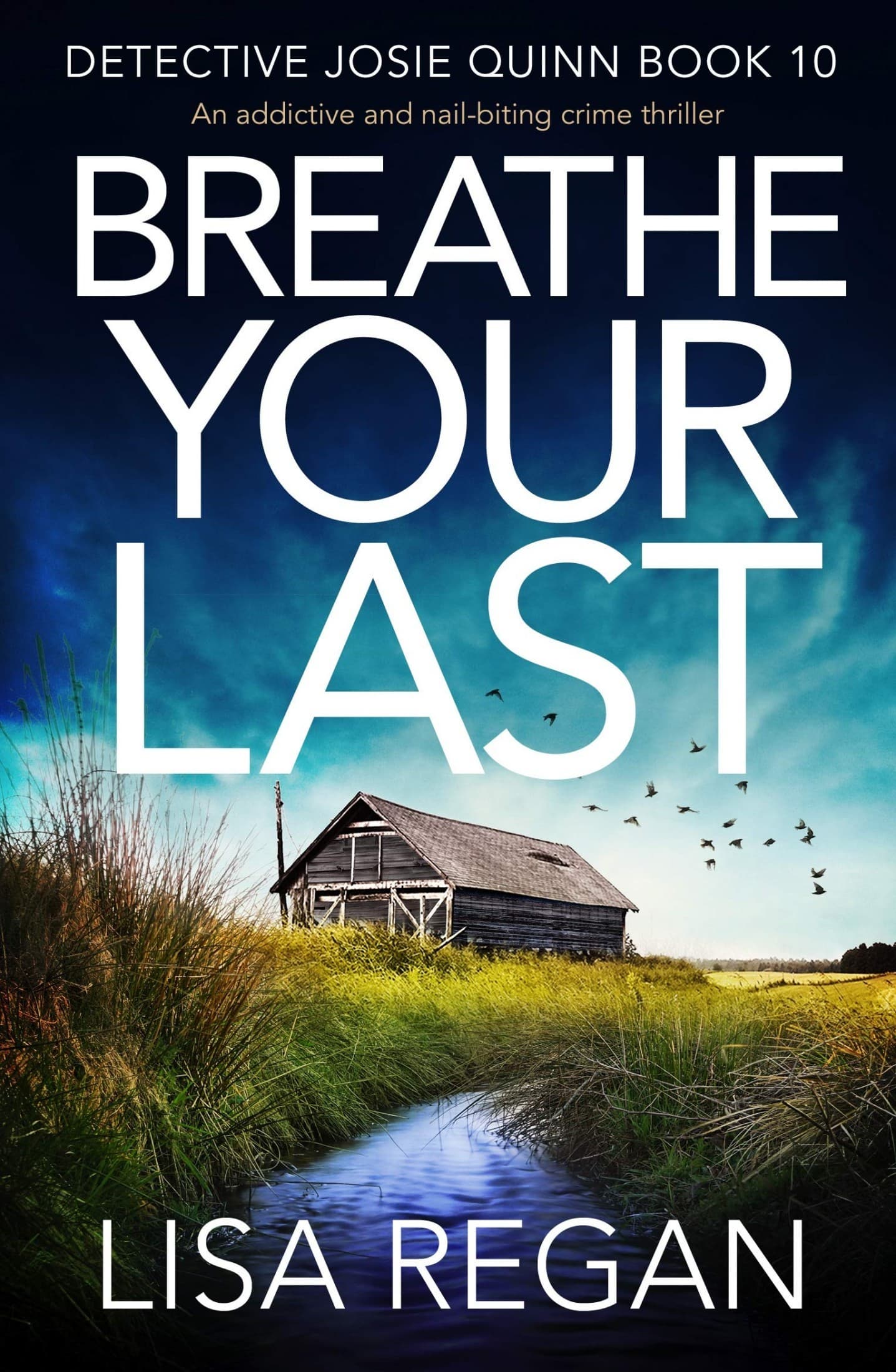 Breathe Your Last book cover