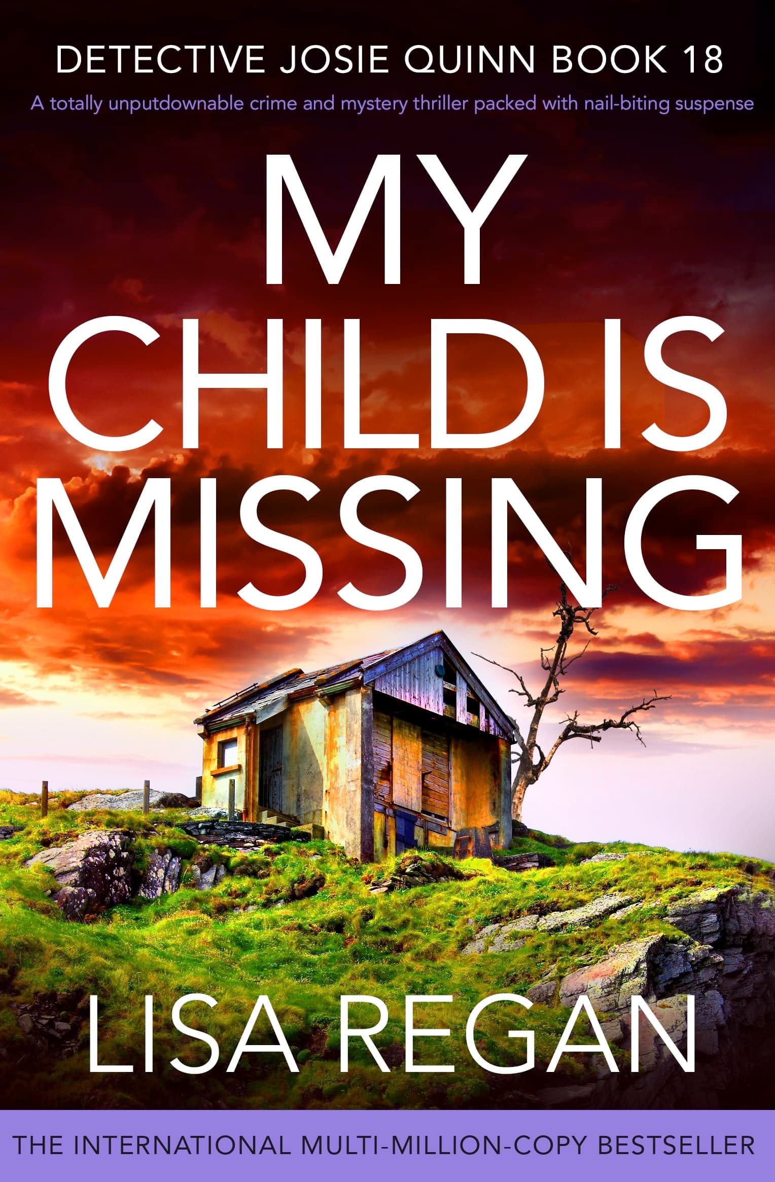My Child is Missing book cover