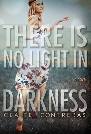 There is No Light in Darkness book cover