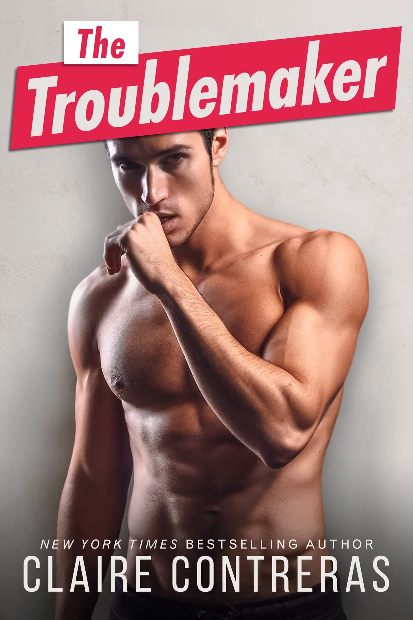 The Troublemaker book cover