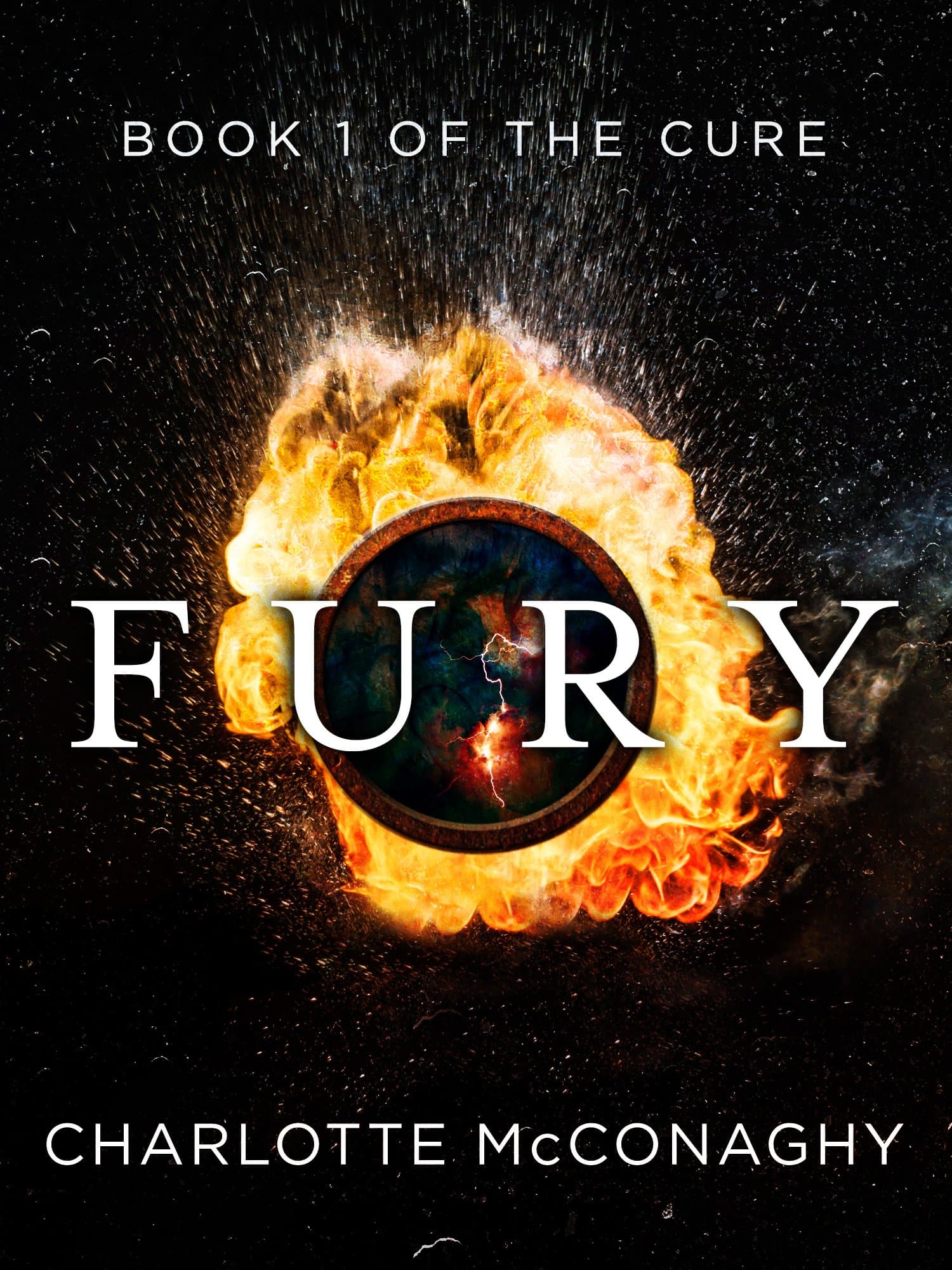 Fury book cover