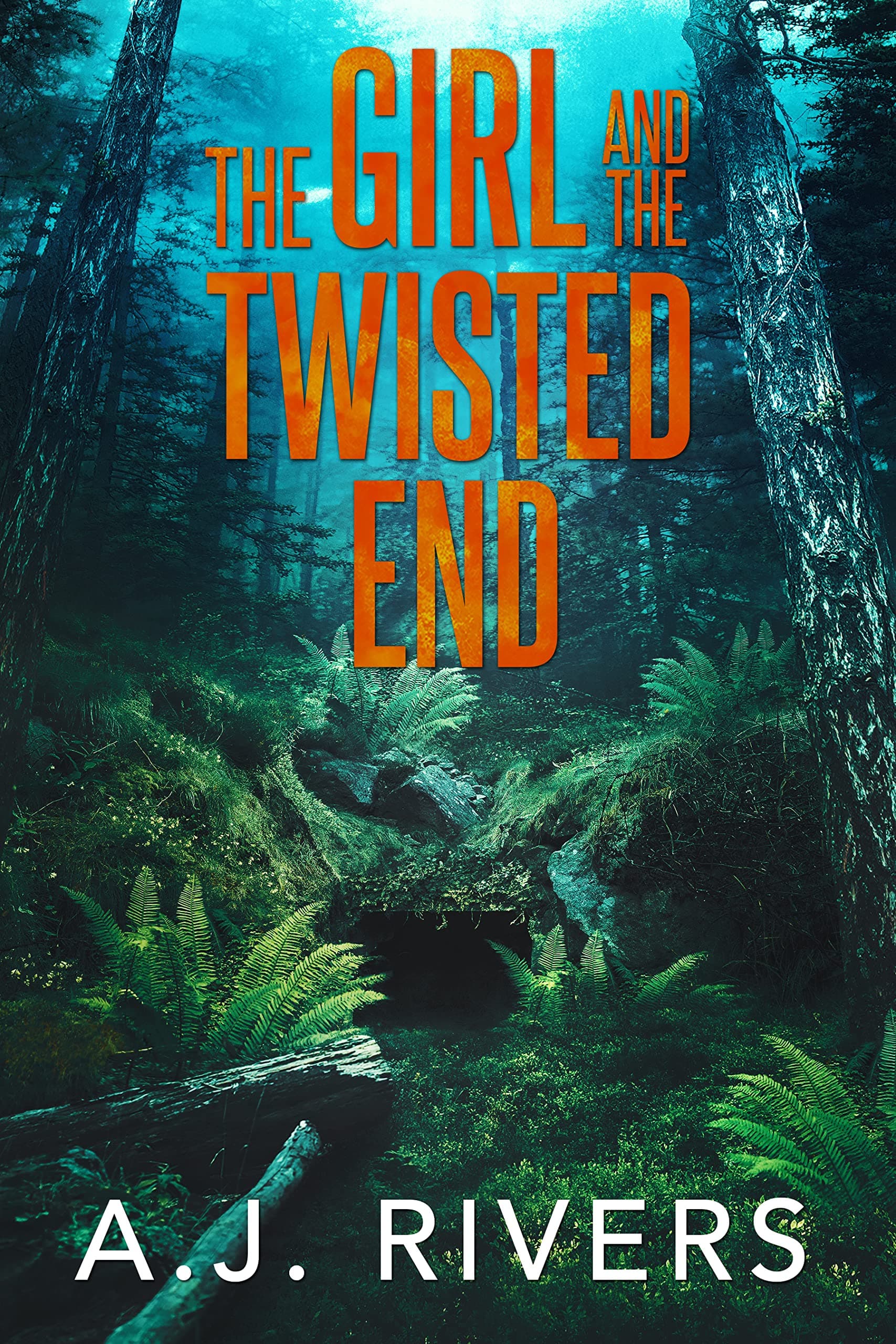 The Girl and the Twisted End book cover