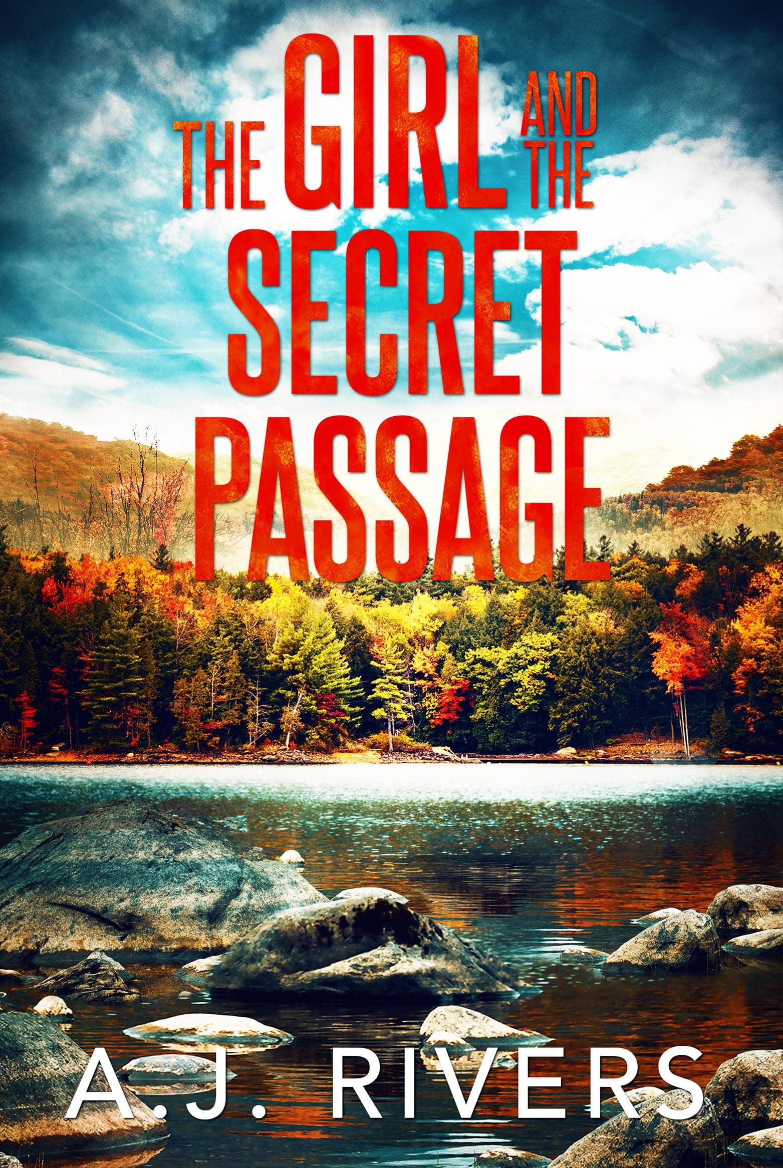 The Girl and the Secret Passage book cover