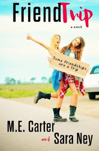 Friendtrip book cover