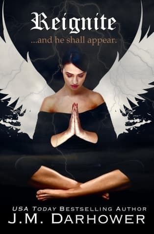 Reignite book cover