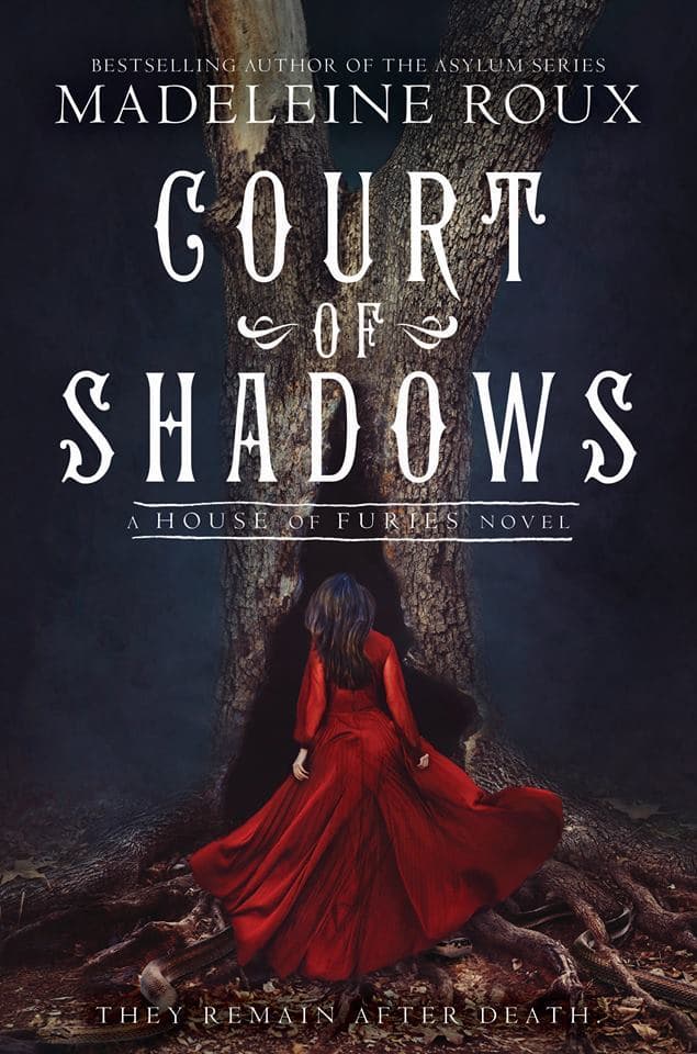 Court of Shadows book cover