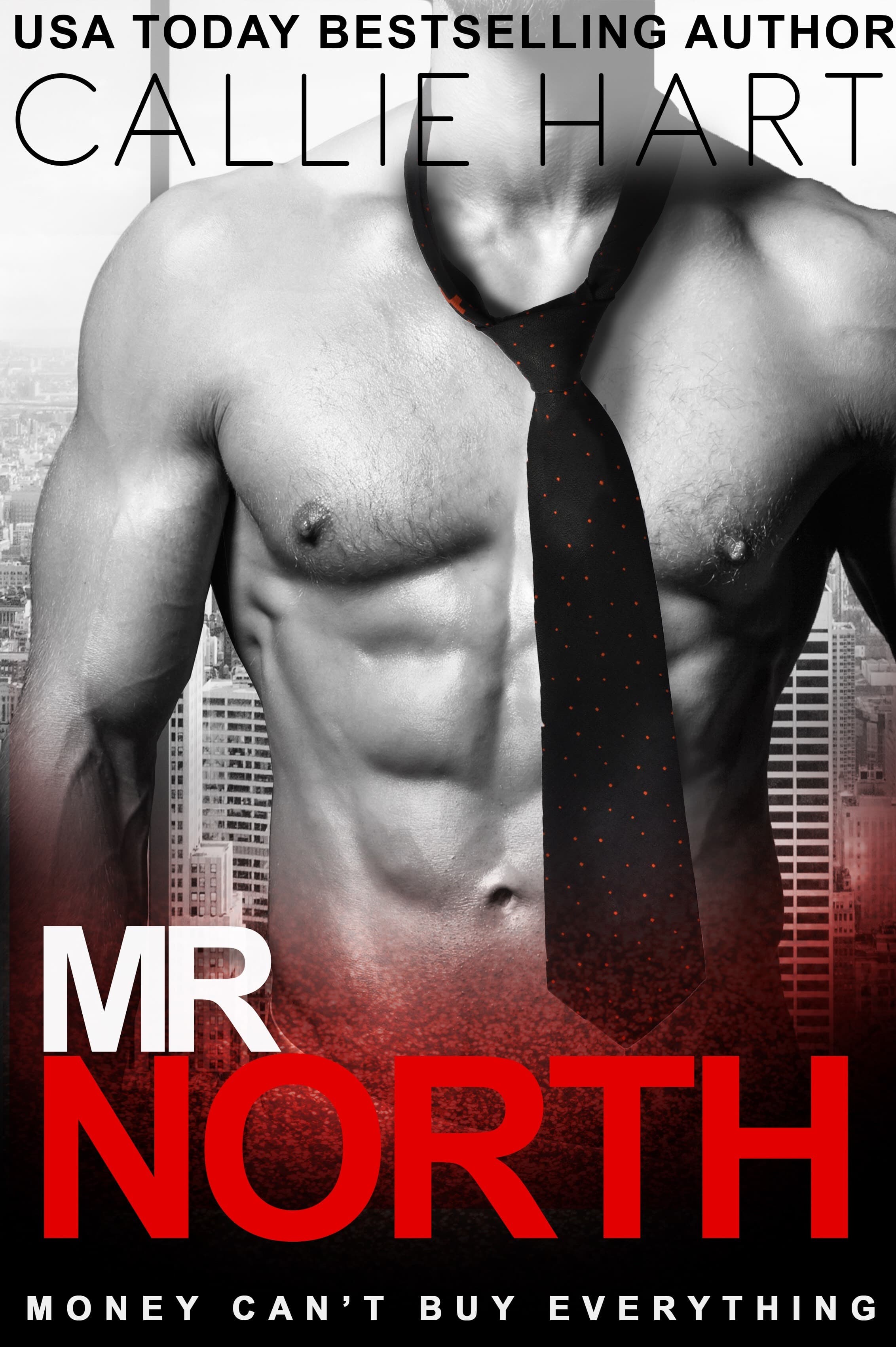 Mr. North book cover