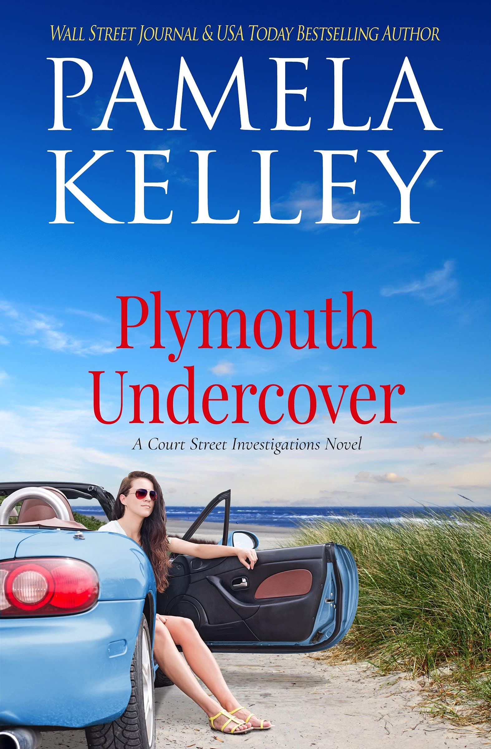 Plymouth Undercover book cover