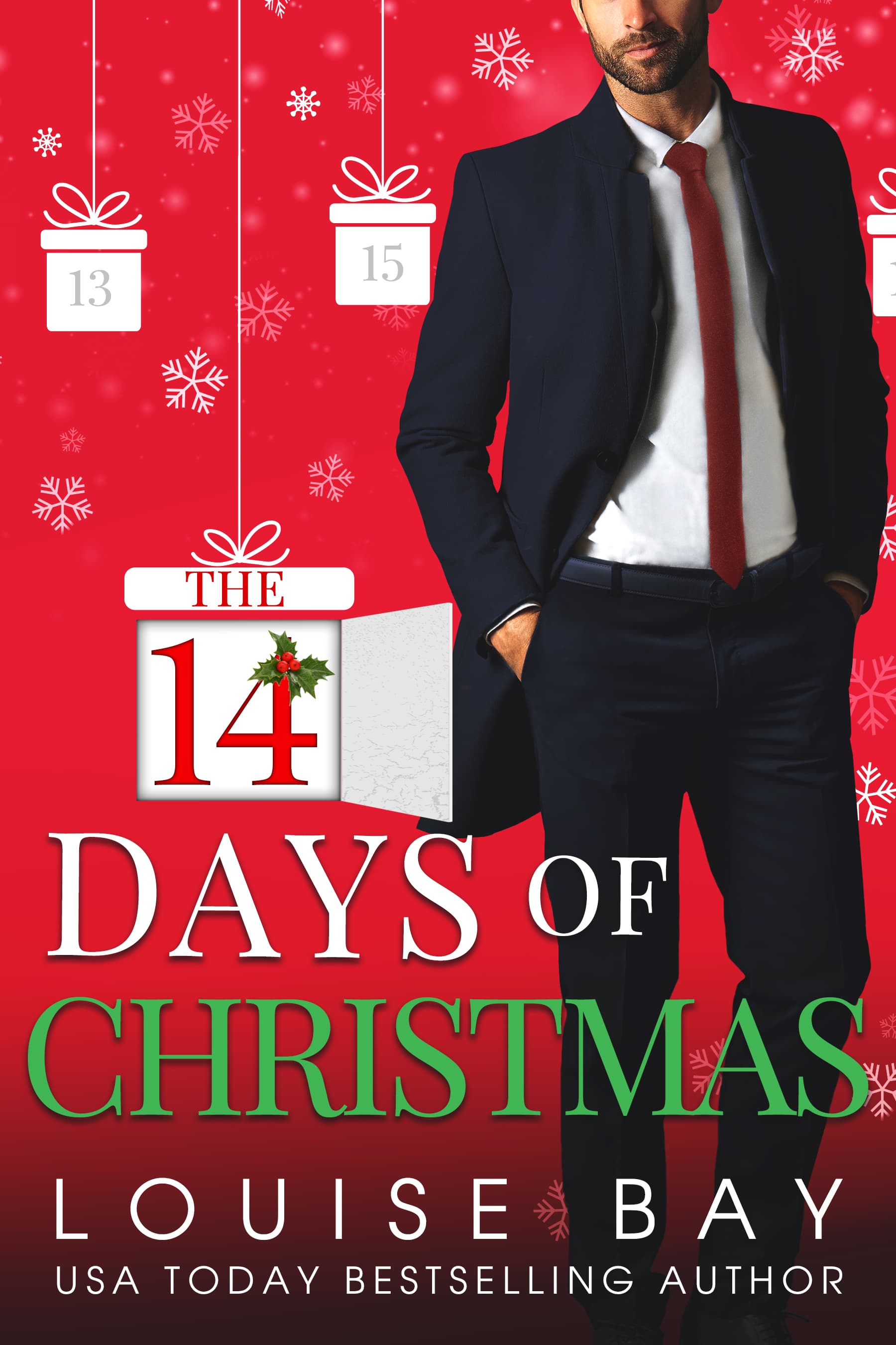 The 14 Days of Christmas book cover