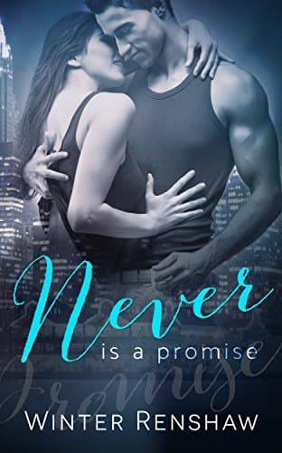 Never is a Promise book cover