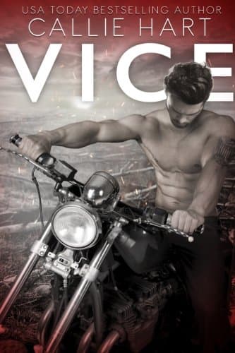 Vice book cover