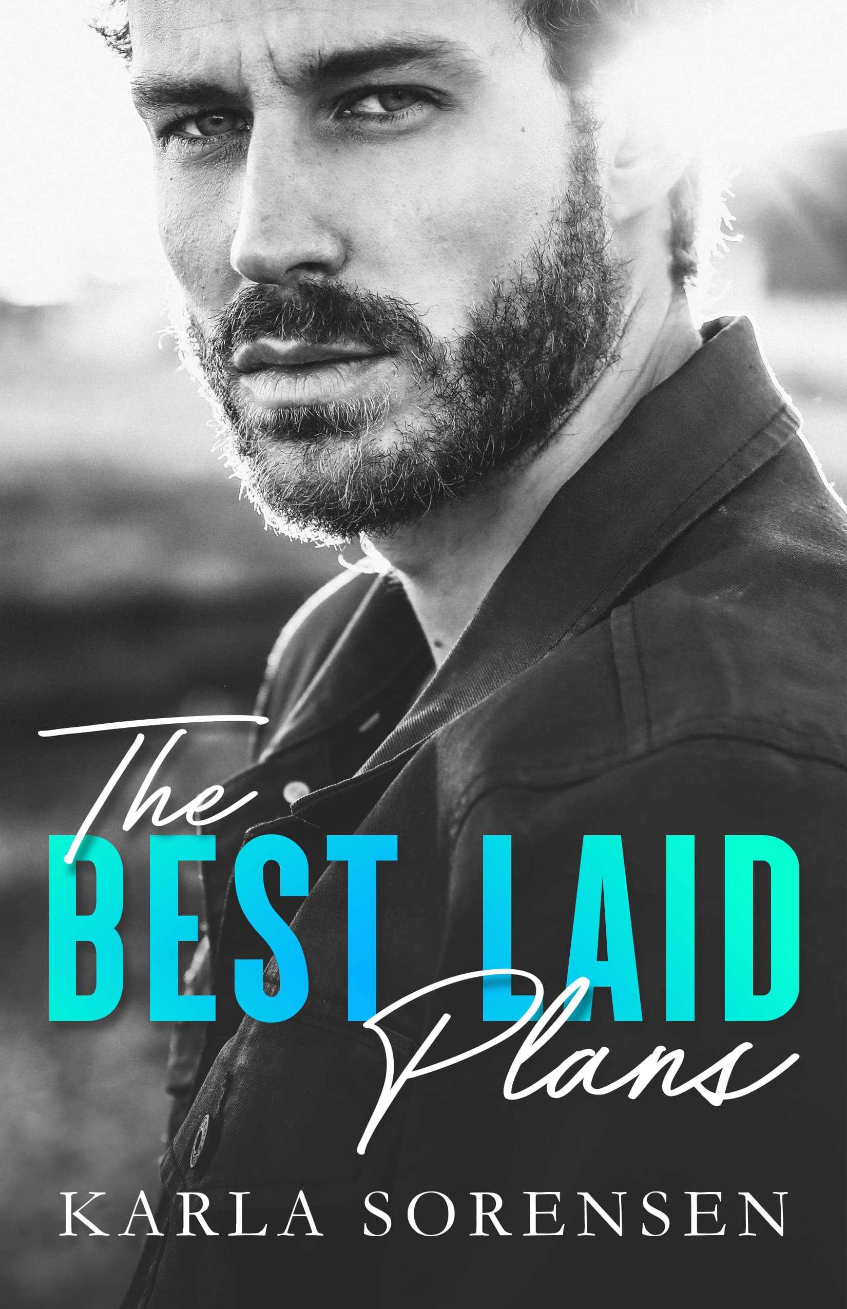 The Best Laid Plans book cover