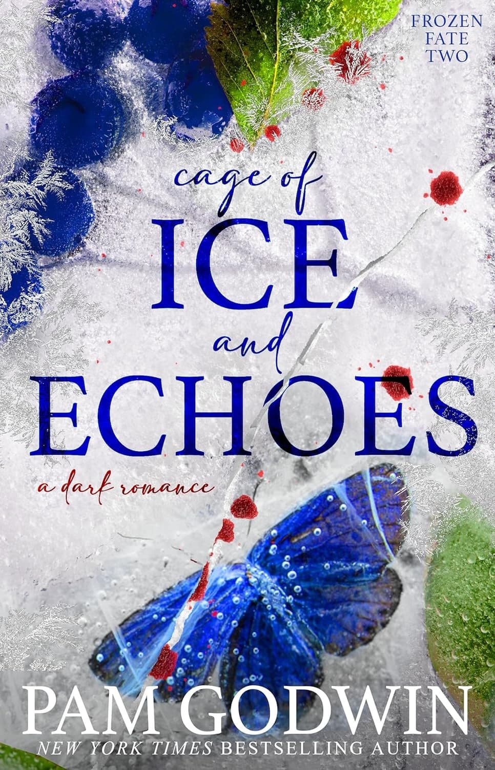 Cage of Ice and Echoes book cover