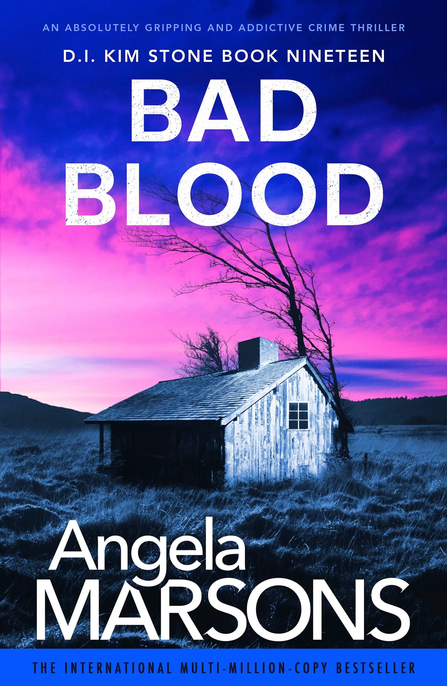 Bad Blood book cover