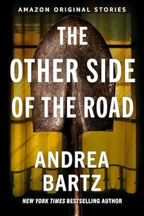 The Other Side of the Road book cover