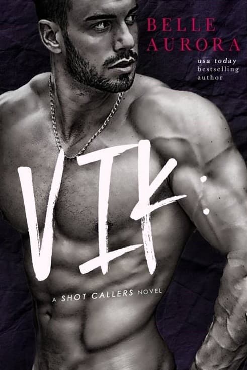 Vik book cover