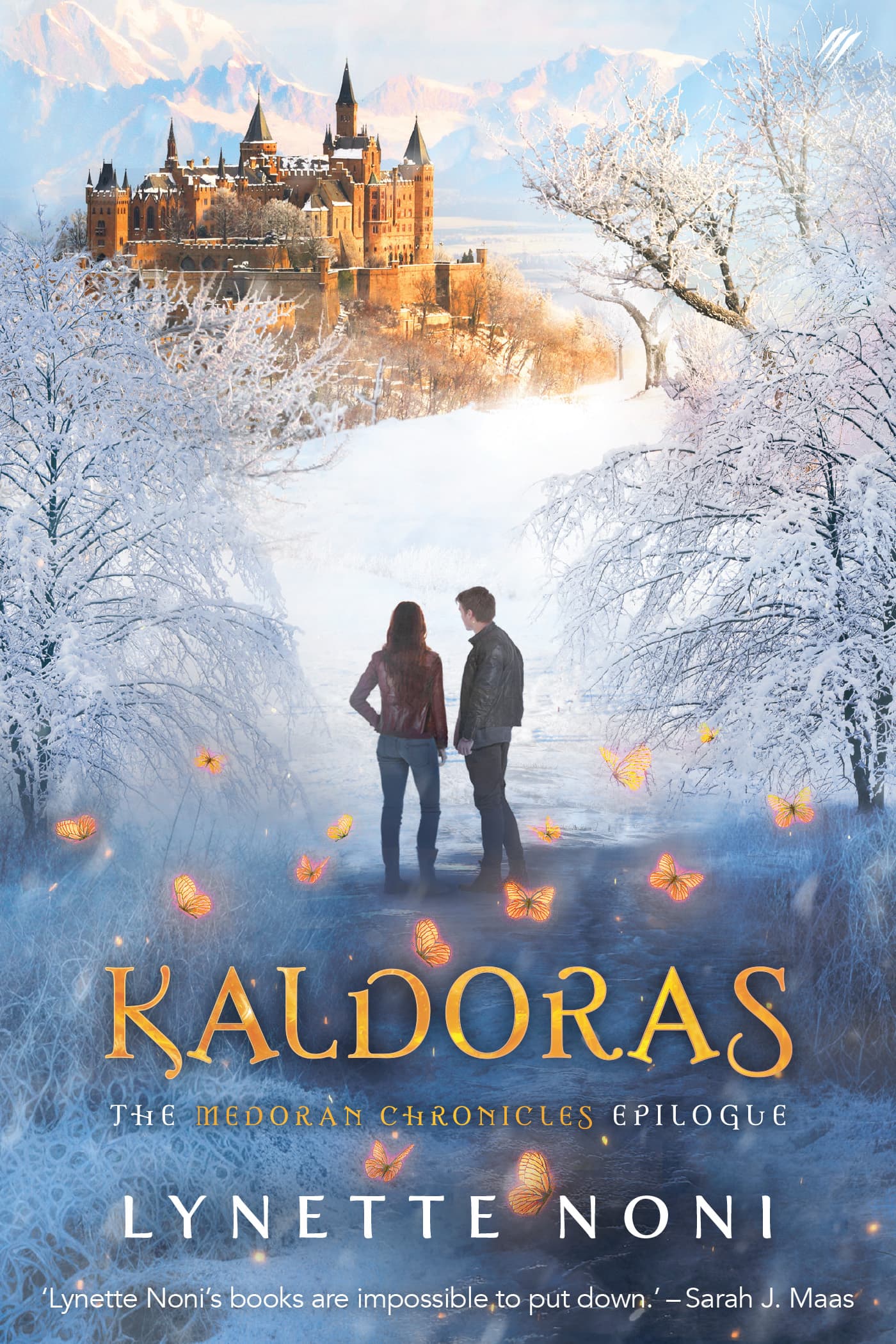 Kaldoras book cover