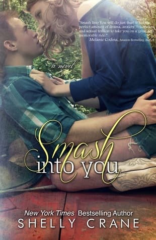 Smash Into You book cover