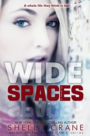 Wide Spaces book cover