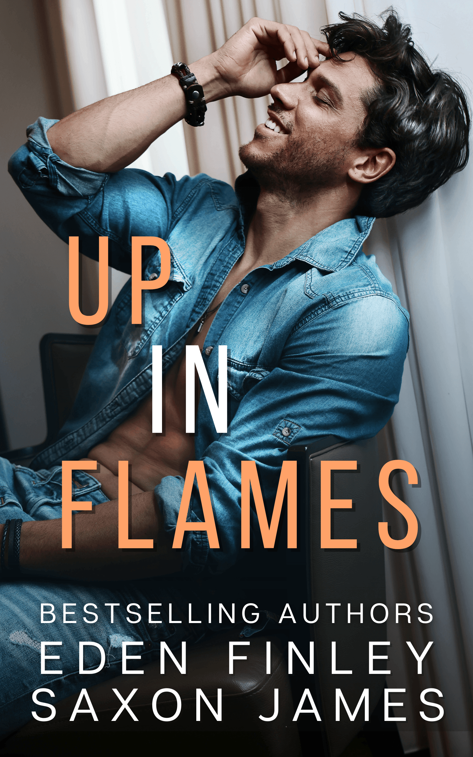 Up in Flames book cover