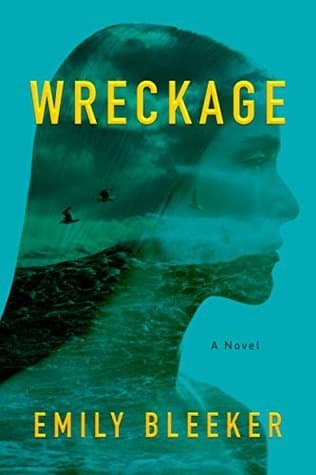 Wreckage book cover