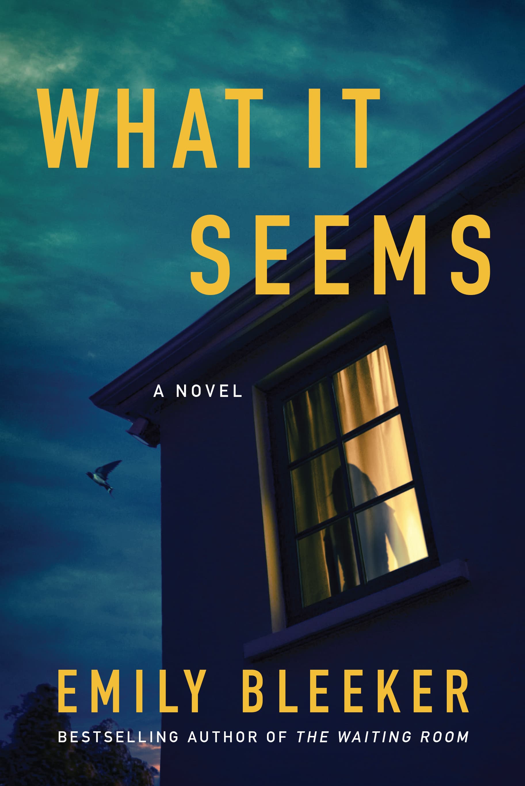 What It Seems book cover