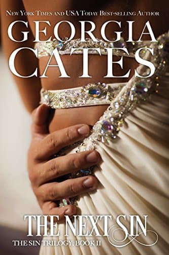 The Next Sin book cover