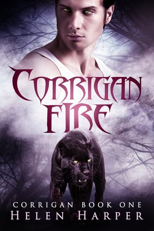 Corrigan Fire book cover