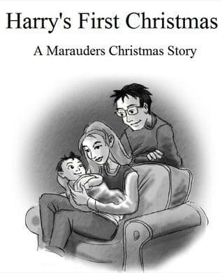 Harry's First Christmas book cover