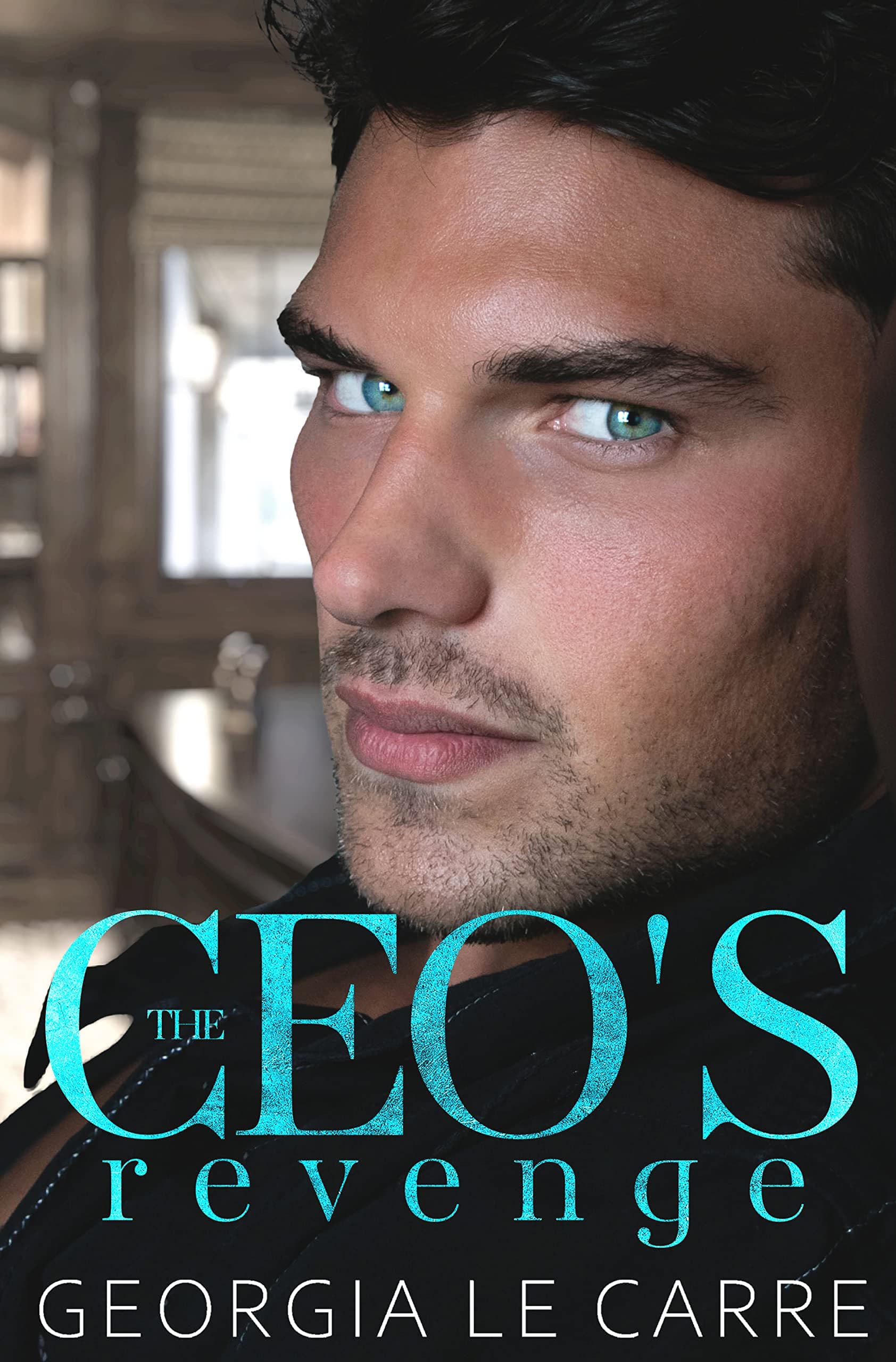 The CEO's Revenge book cover