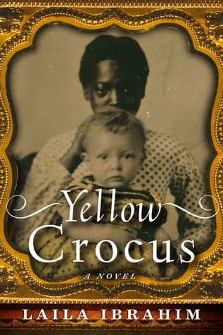 Yellow Crocus book cover