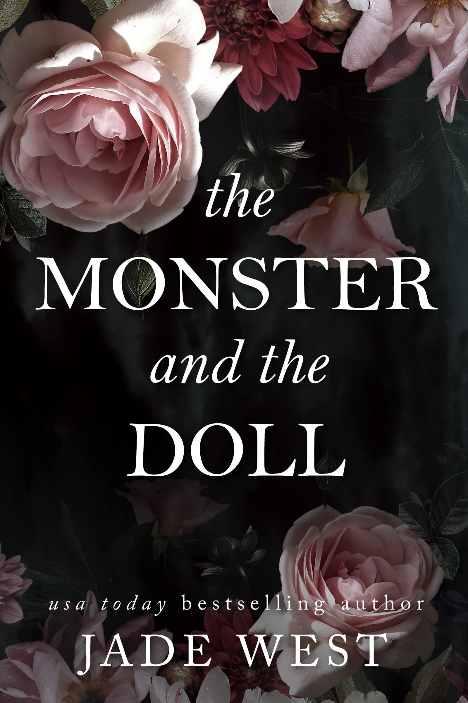 The Monster and the Doll book cover