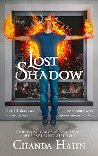 Lost Shadow book cover
