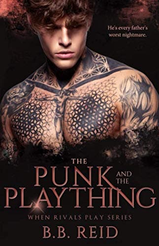The Punk and the Plaything book cover