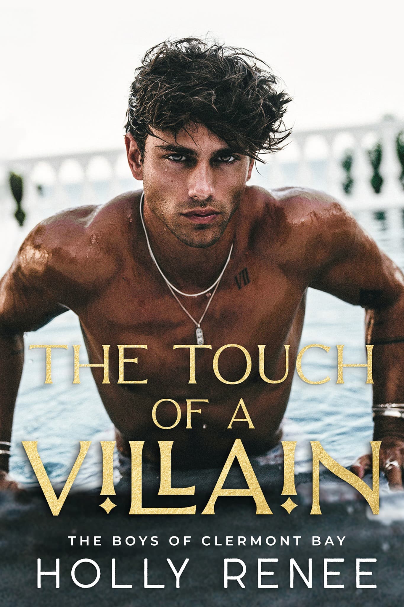 The Touch of a Villain book cover