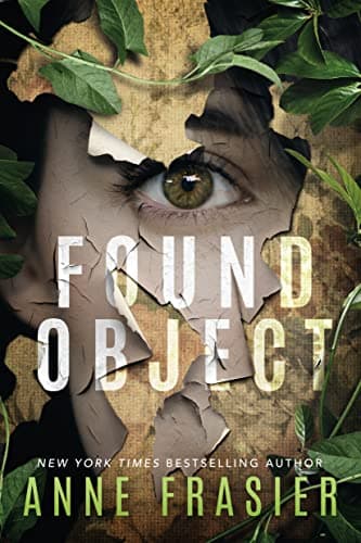 Found Object book cover